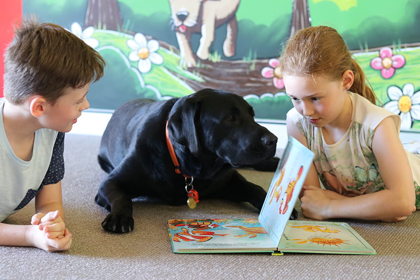 Making a difference - Dog-Assisted Therapy for children
