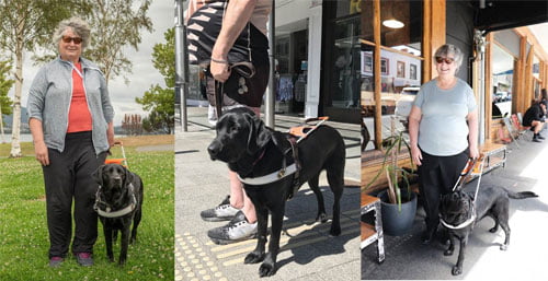 Montage of images of Guide Dog handlers walking their dogs