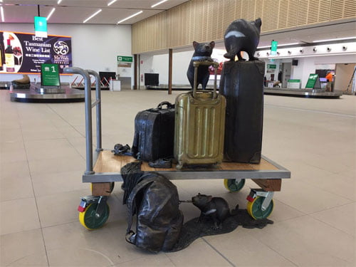 Tasmanian Devil sculpture at the Hobart Airport