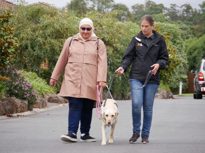 A teenage girl walking a Guide Dog with a female Guide Dog Instructor
